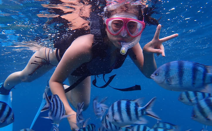 ケラマ体験ダイビング