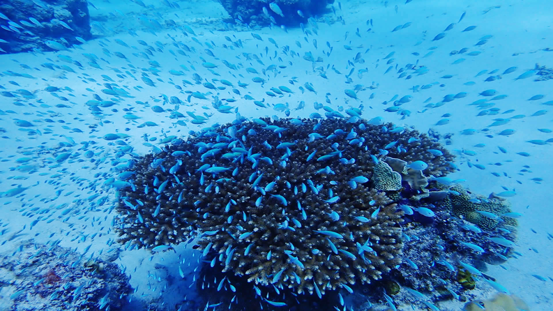 青空ロカヒビーチ